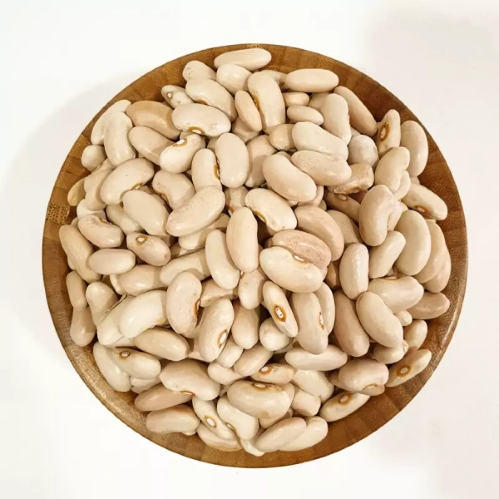  عکس لوبیا کشاورزی